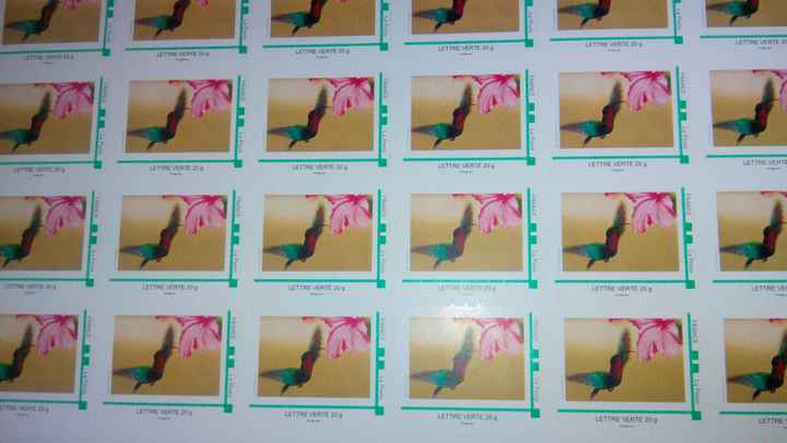 nos timbres 