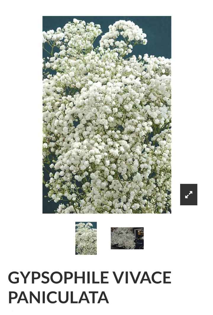 Fleurs diy - 1