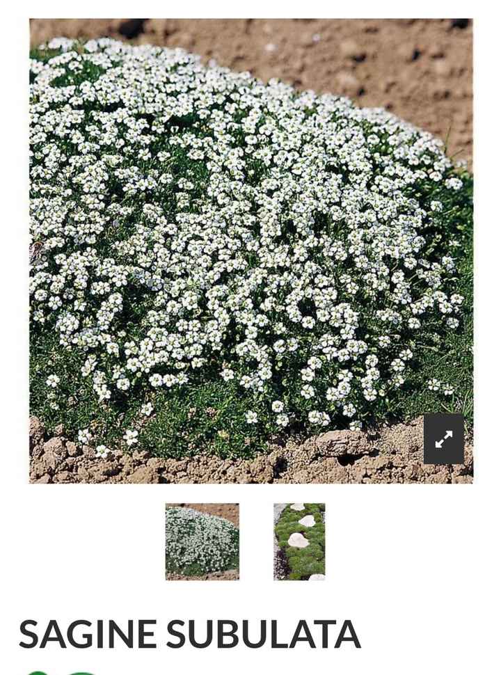Fleurs diy - 2