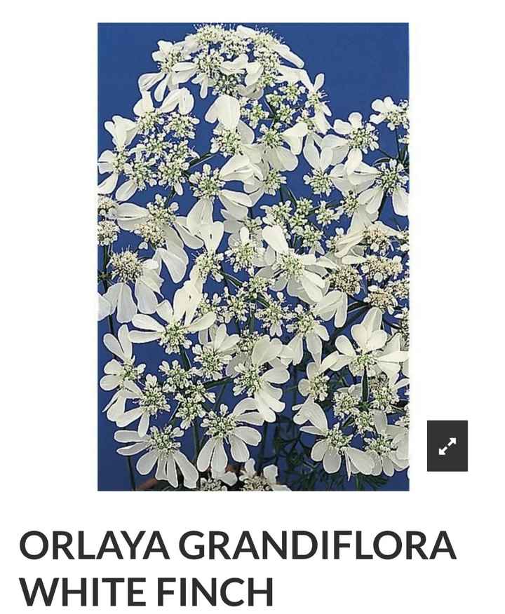 Fleurs diy - 4