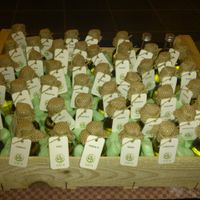 Fioles huile d'olive