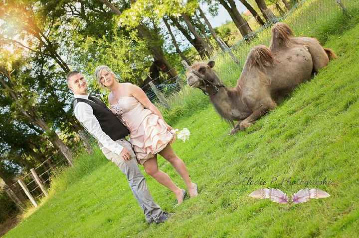 On est mariés ! - 3