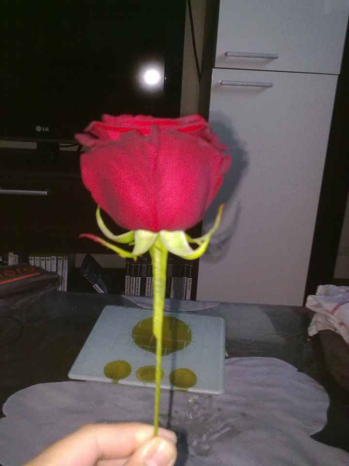 La rose 