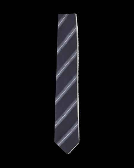 Sa cravate
