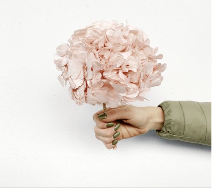 Fleurs stabilisées - 1