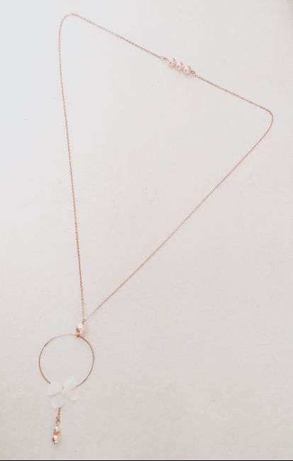 Recherche collier de dos 2