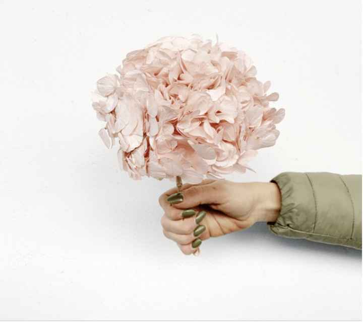 Fleurs stabilisées - 1