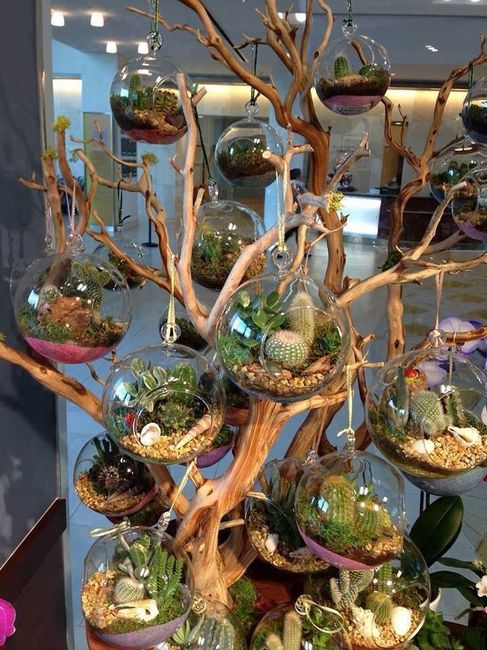 Arbre à cactus