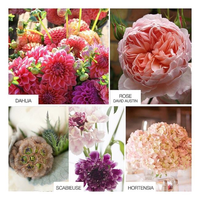 Fleurs selon les saisons - 2