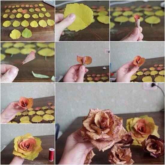 Tuto feuilles