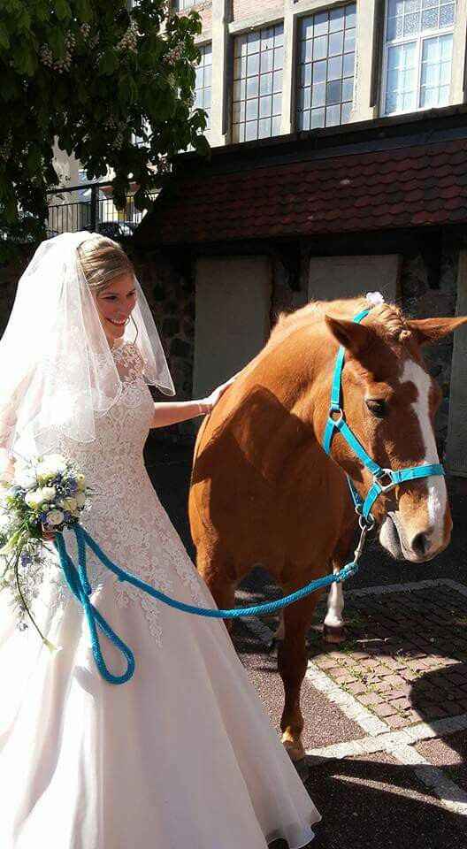 Notre jour j derrière nous - 6
