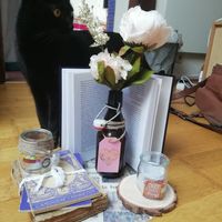 Centre de table et Plan de Table - 2