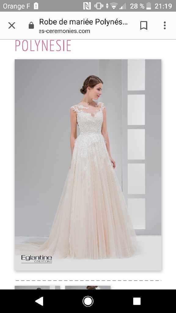 sos choix de ma robe - 1