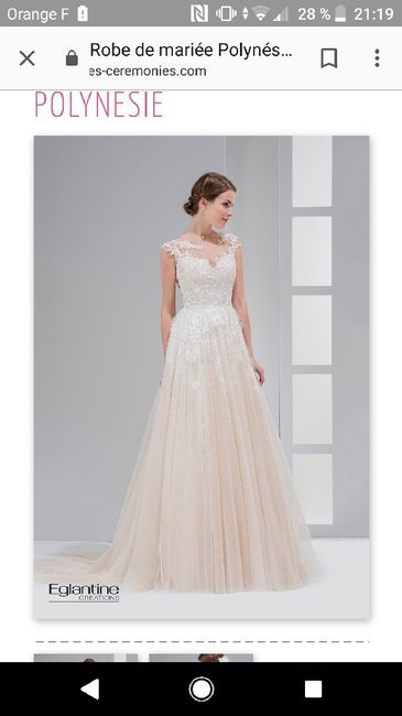 sos choix de ma robe - 1