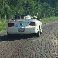 Notre merveilleux mariage - 2