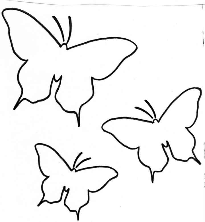 patron papillons