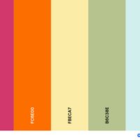 Notre palette de couleurs