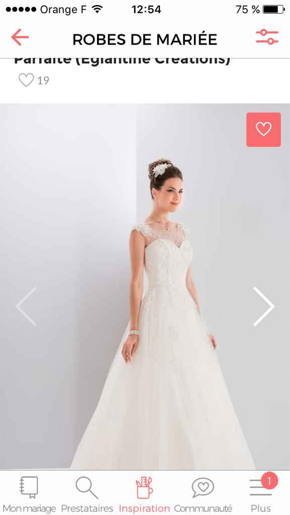 Robe : celle que vous rêviez et celle que vous avez choisie. - 1
