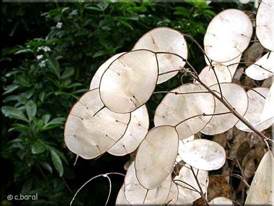 Sortie d'église - 1