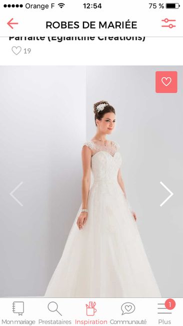 Robe : celle que vous rêviez et celle que vous avez choisie. - 1