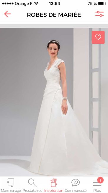 Robe : celle que vous rêviez et celle que vous avez choisie. - 2