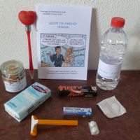 guide du parfait témoin