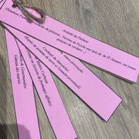 Housse de chaise - 2