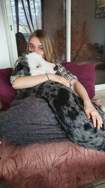 Et les animaux dans tout ca? - 1