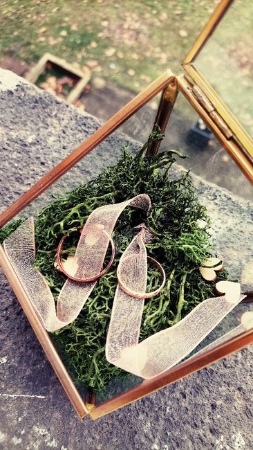 Quel porte-alliances auras-tu ? 5