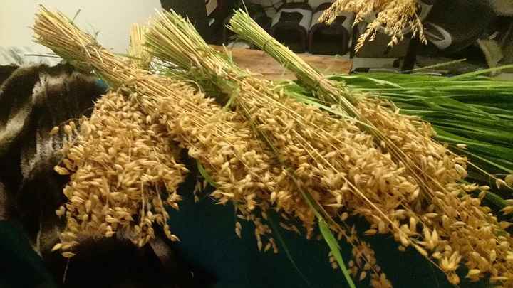 Quelques jours loin d'ici... De la déco et des grandes nouvelles !!! - 9