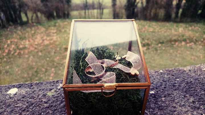 Alliances reçues 🎀 - 2