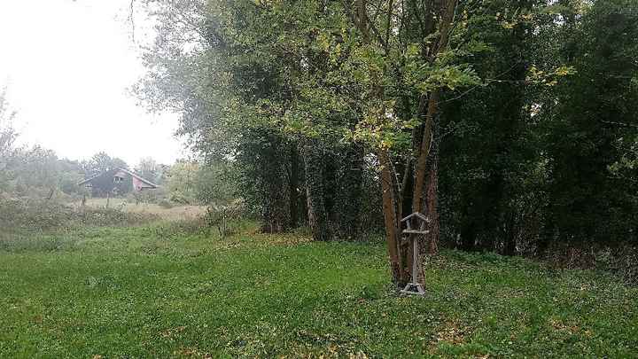 Mariage au temps du covid-19 - 2