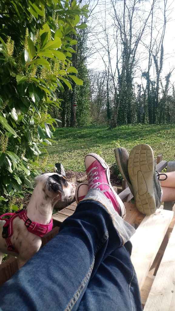 Résumes ta semaine en une photo  📸 - 1