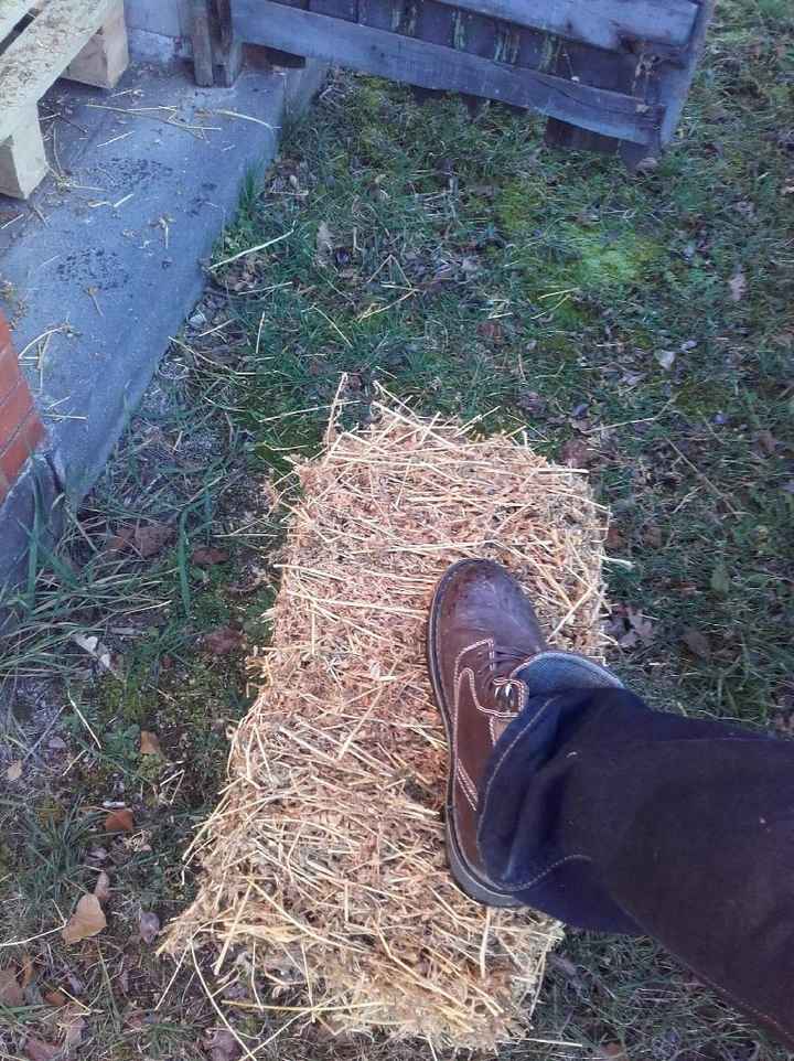 Bar à bonbon 🍬 - 5