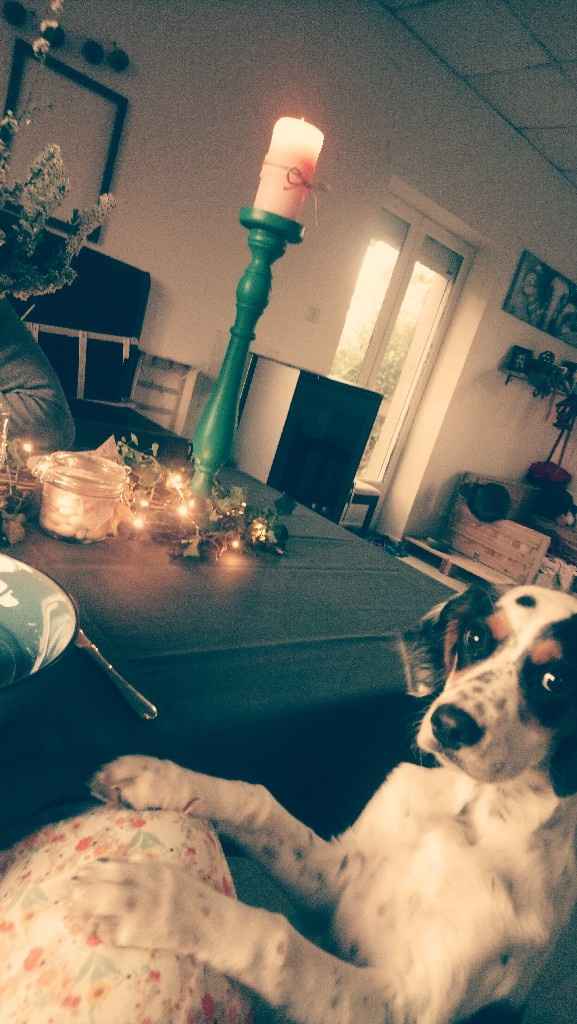 evg de secours de chéri : ça y est ! - 7