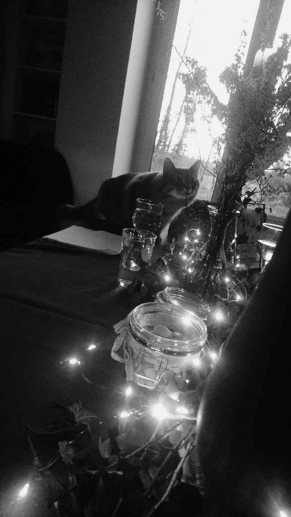 evg de secours de chéri : ça y est ! - 9