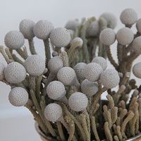 Element bouquet du 23 juillet