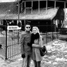 Sandig