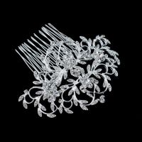 Peigne que j'ai deja 