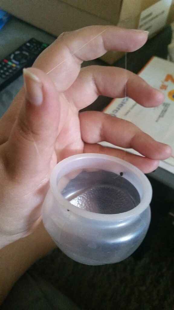 Aujourdhui diy ennnuyeuse... - 2