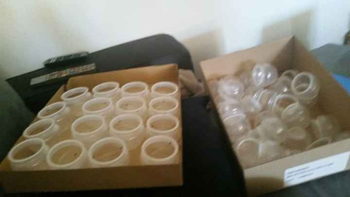 Aujourdhui diy ennnuyeuse... - 3