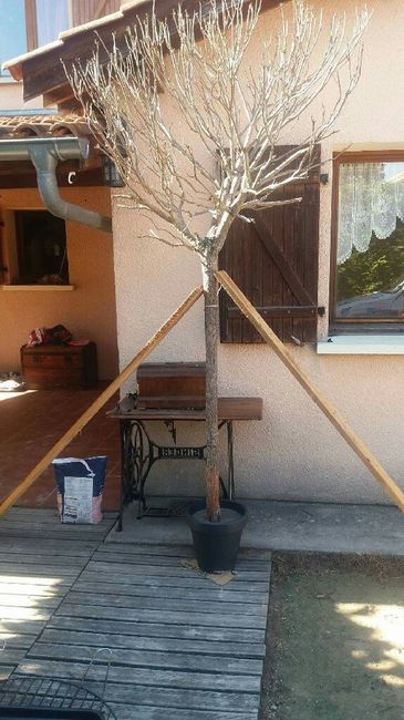 Resultat de notre journée decoration - 2