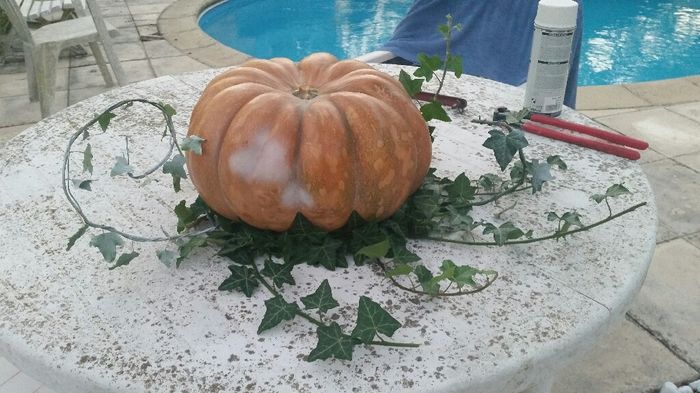 Nos petites deco d'hier - 2