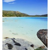 Lune de miel en france ! - 2