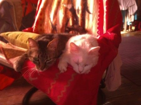 dur vie^^
