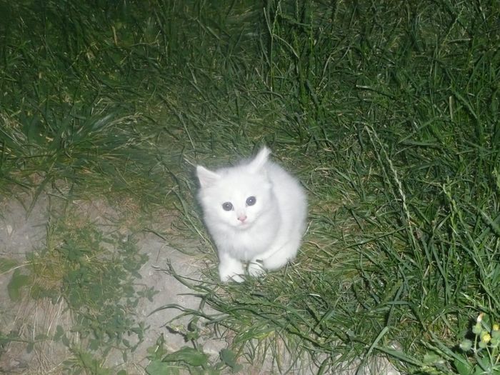 snow que nous gardons