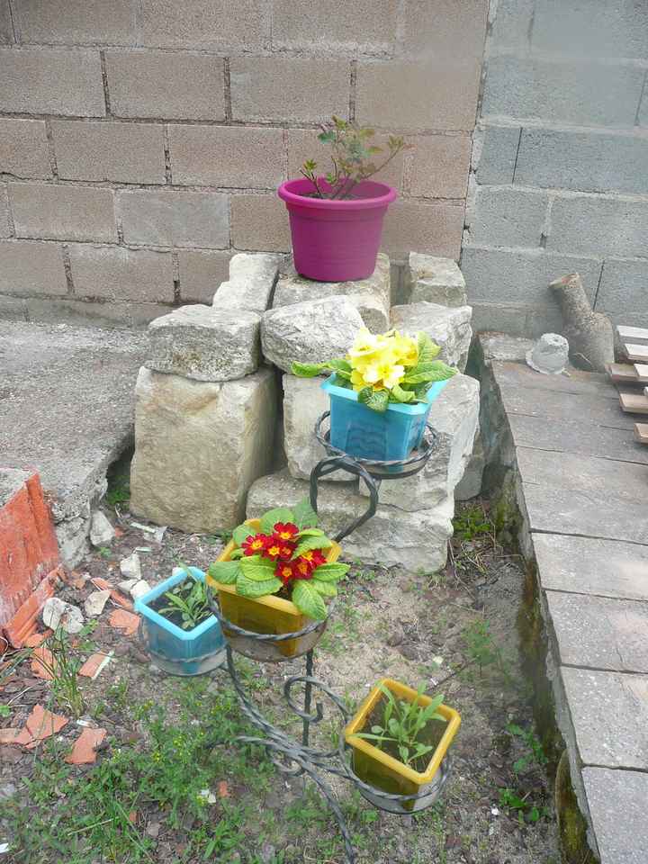 nos fleurs 