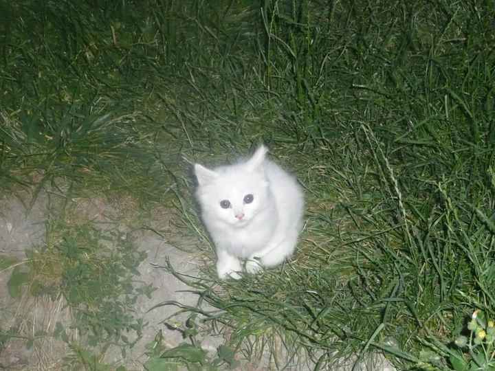 snow que nous gardons