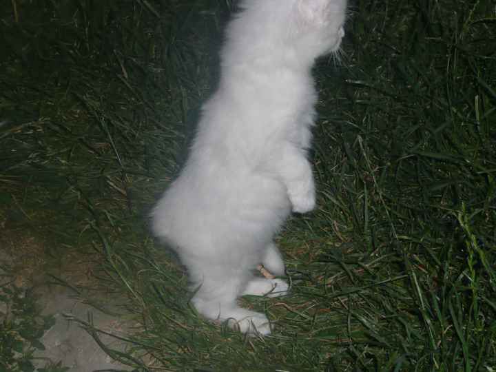 notre ti snow