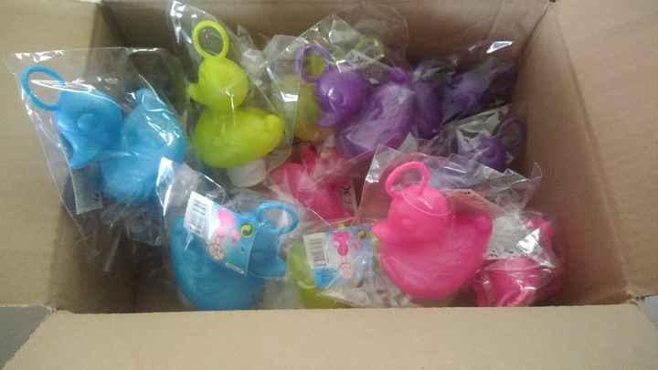 Mes canards 🦆🎣 - 1